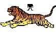 Tiger Balm