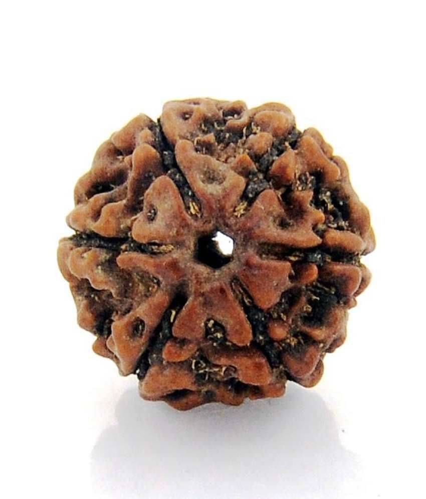     			Rudham - Wood Pooja Mala (Pack of 1)