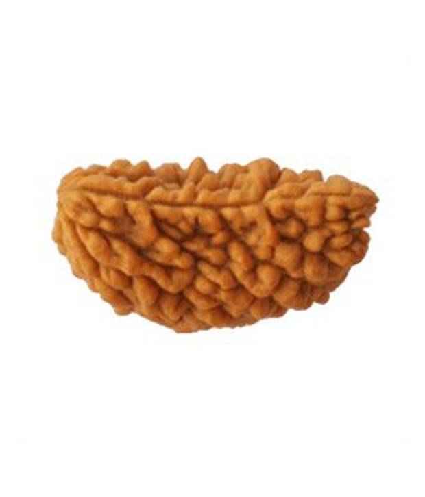     			Shubh-Bhakti 1-Mukhi Rudraksha