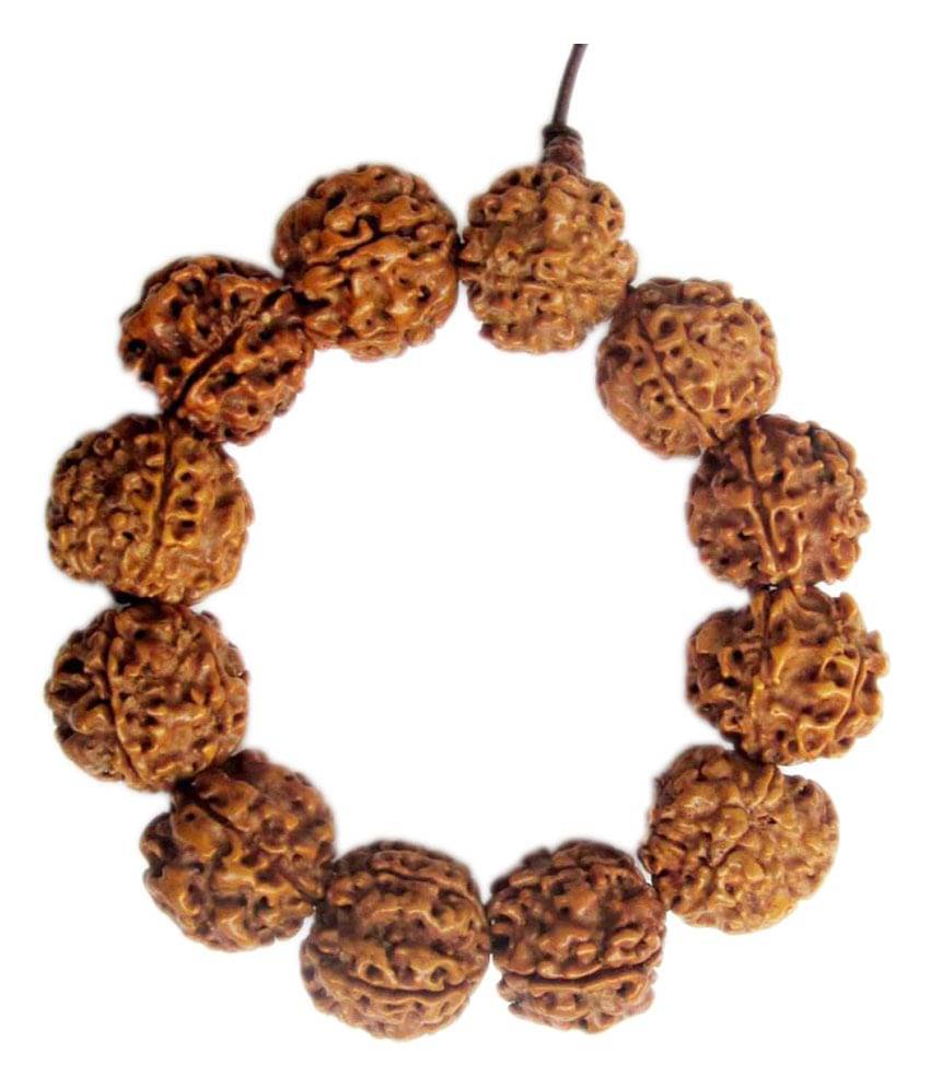     			Anjalika Rudraksha Bracelet