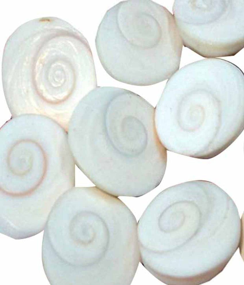    			Sobhagya Natural Very Rare Gomati Chakra - 11 Pcs