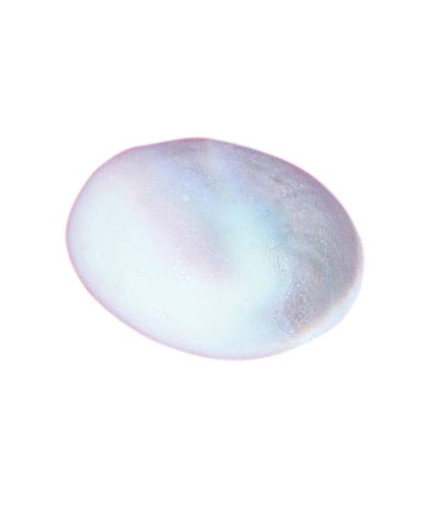     			Sobhagya Gomati Chakra 20 Gram