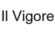 Il Vigore