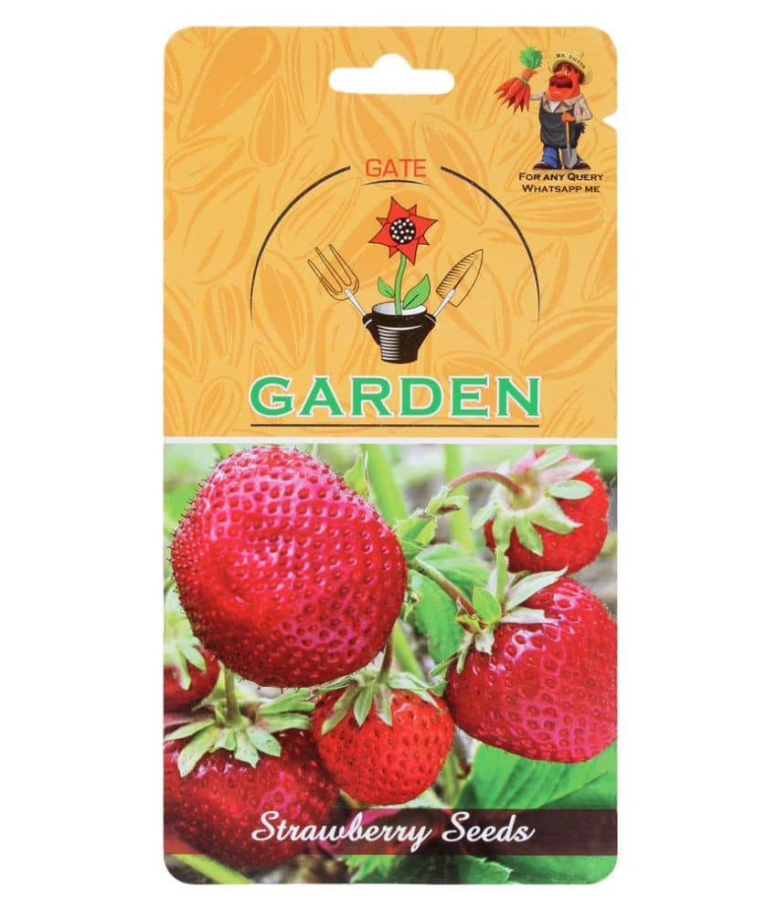 Gate Garden Strawberry Fruit Seeds