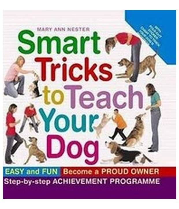     			Smart Tricks To Teach Your Dog