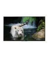 Sony BRAVIA KDL-43W800D 108cm (43) Full HD 3D LED Android TV