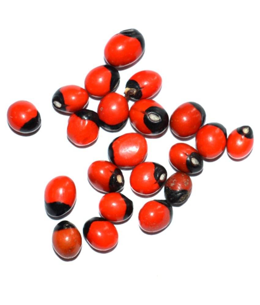 Aksaya Marketing Red Marble Rakt Gunjas Pack Of 21 Aksaya Marketing Red Marble Rakt Gunjas Pack Of 21
