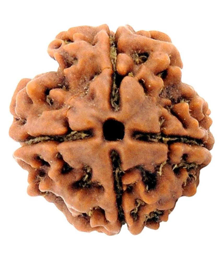     			Cosmic Store 4 Mukhi Wooden Rudraksha