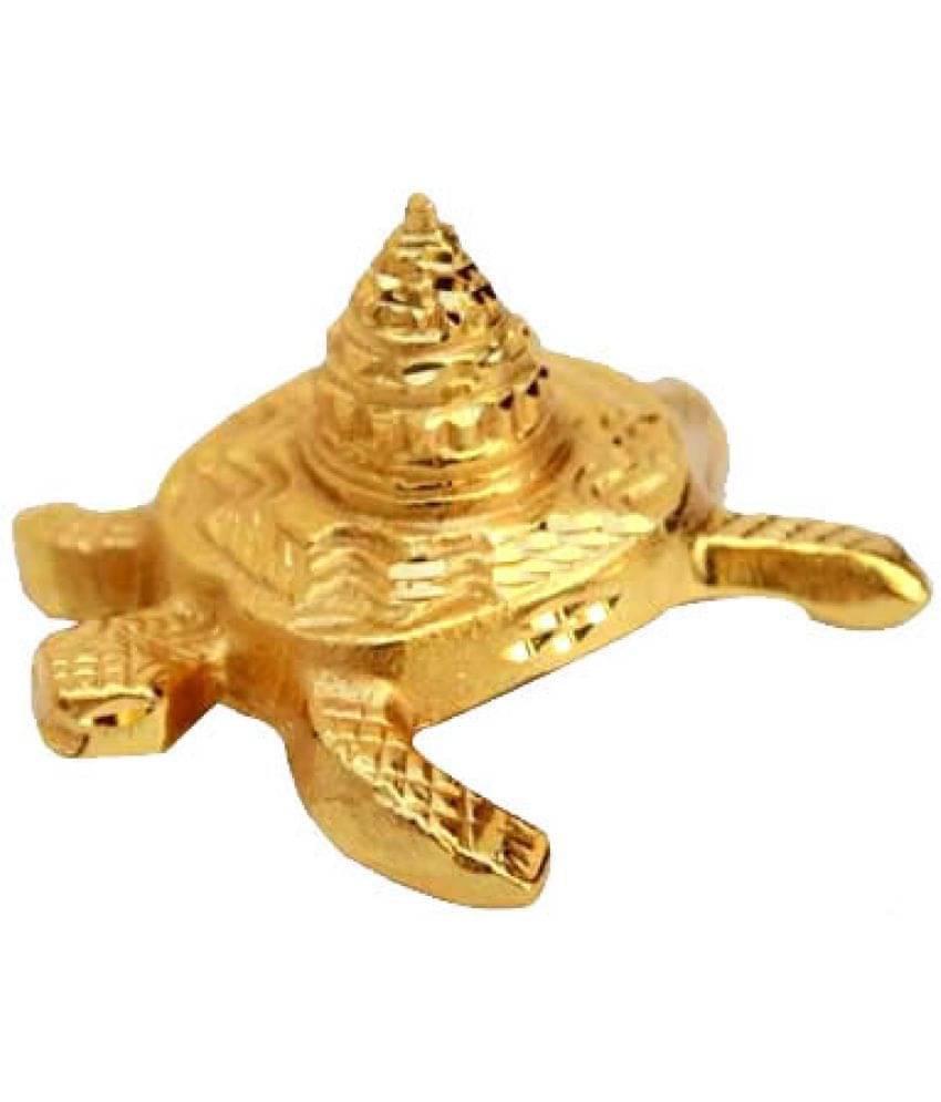     			Astro Guide Tortoise