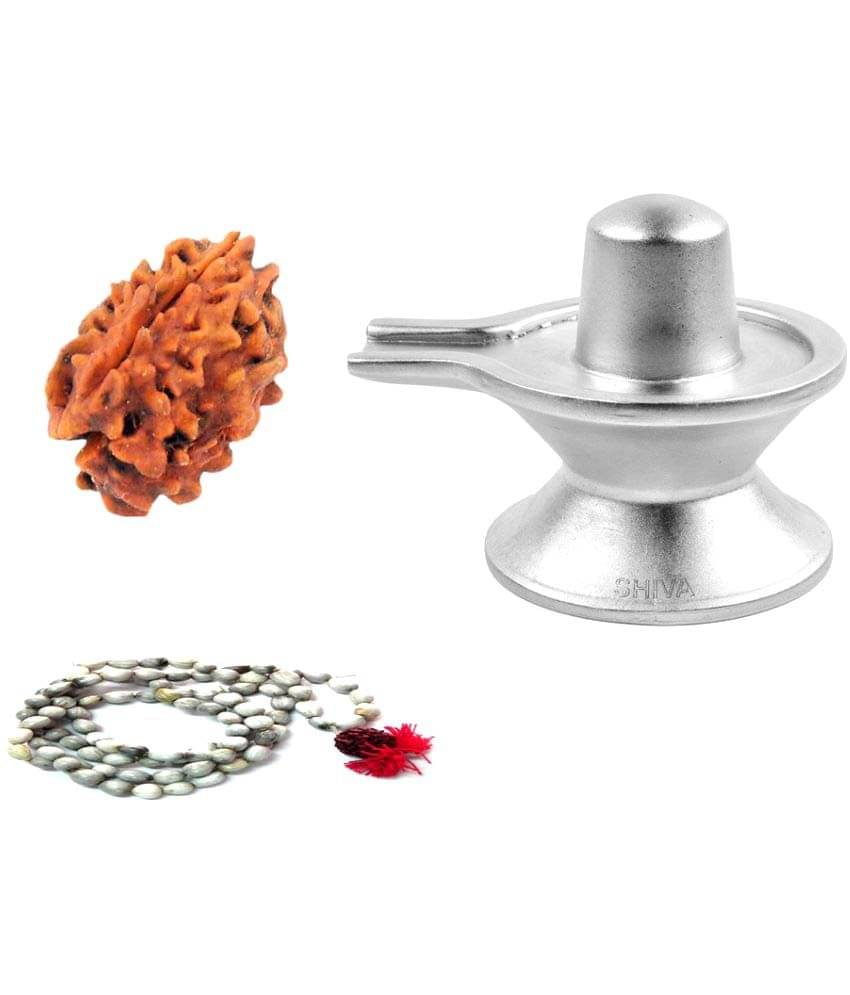     			Devbhoomi Haridwar Rudraksha with Parad Shivling and Vaijanti Mala
