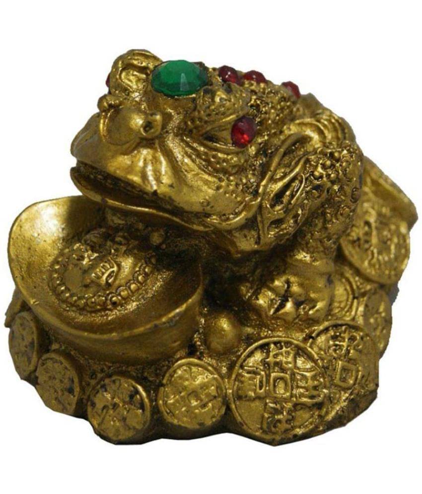     			Nitin Collection Frog