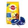 Dog Supplies