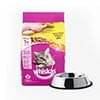 Cat Supplies