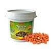 Fish Supplies