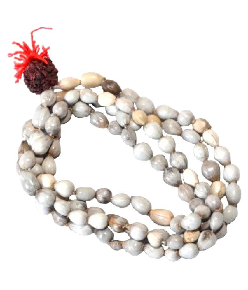     			Pooja Pooja Mala Vaijanti