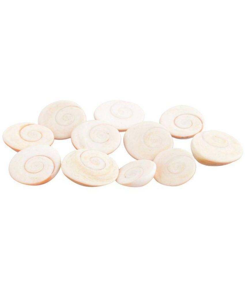     			RGL Coral Powder Gomti Chakra - Pack of 11