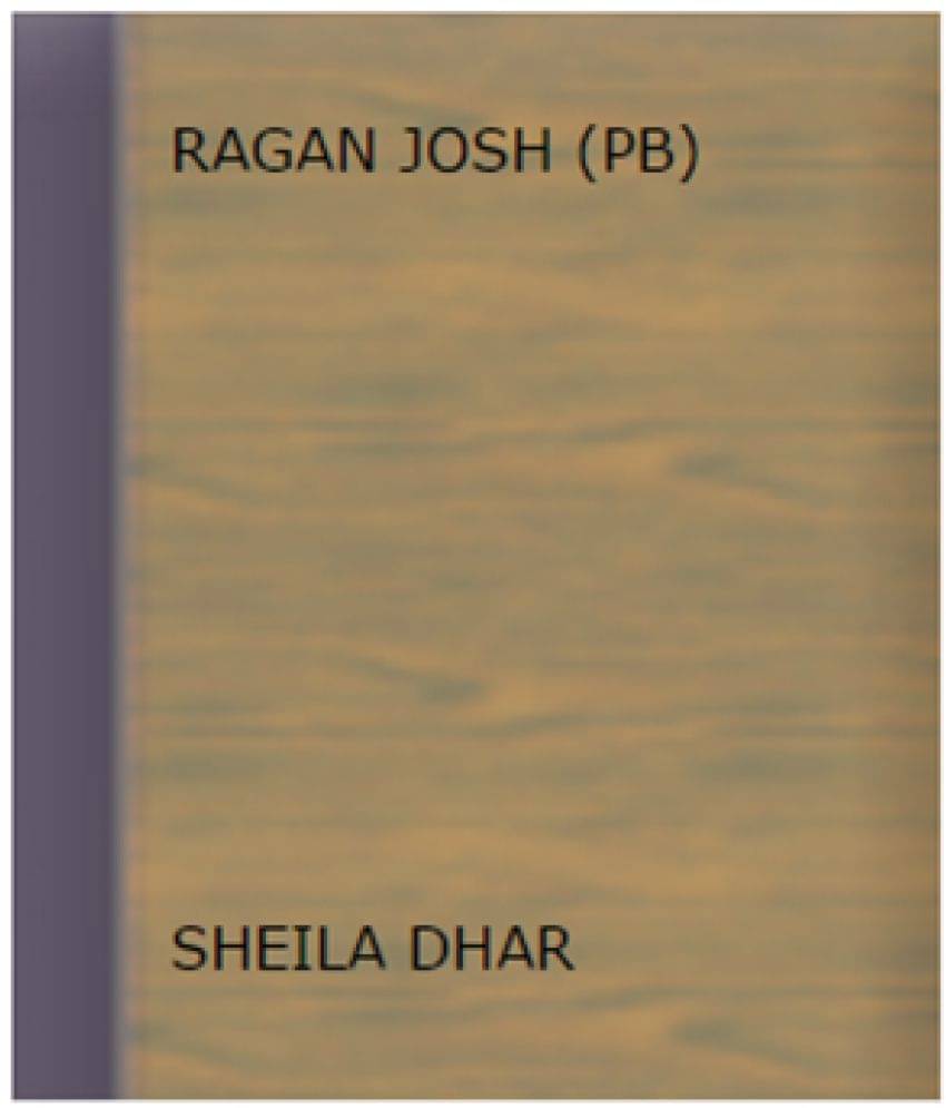     			Raga'n Josh Stories from a Musical Life
