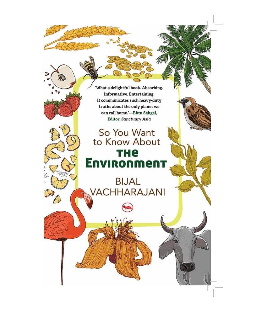     			So You Want to Know About the Environment