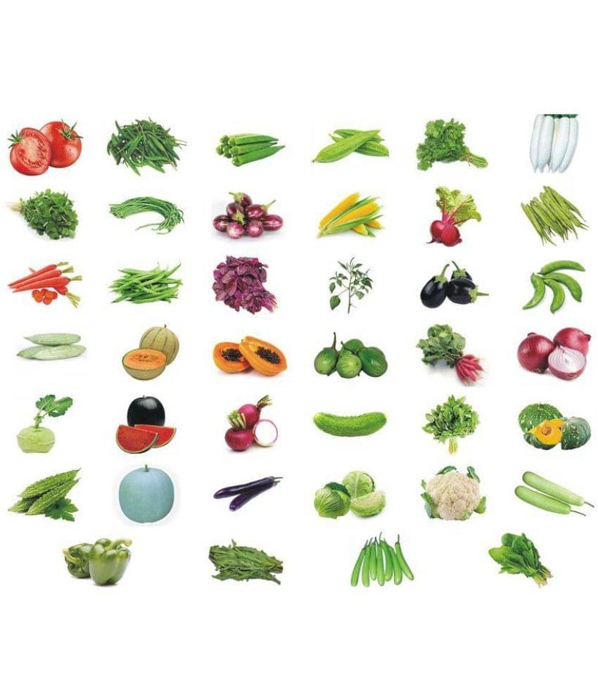     			SapRetailer Combo Vegetable Seeds (Pack Of 40) For Terrace And Kitchen Gardening