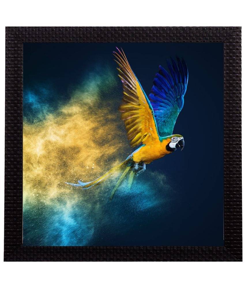 eCraftIndia Multicoloured Flying Bird UV Framed Wall Painting eCraftIndia Multicoloured Flying Bird UV Framed Wall Painting