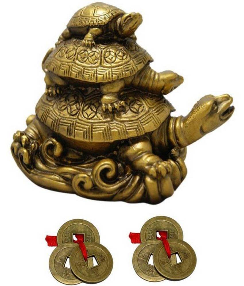     			Fashlly Polyresin Tortoise