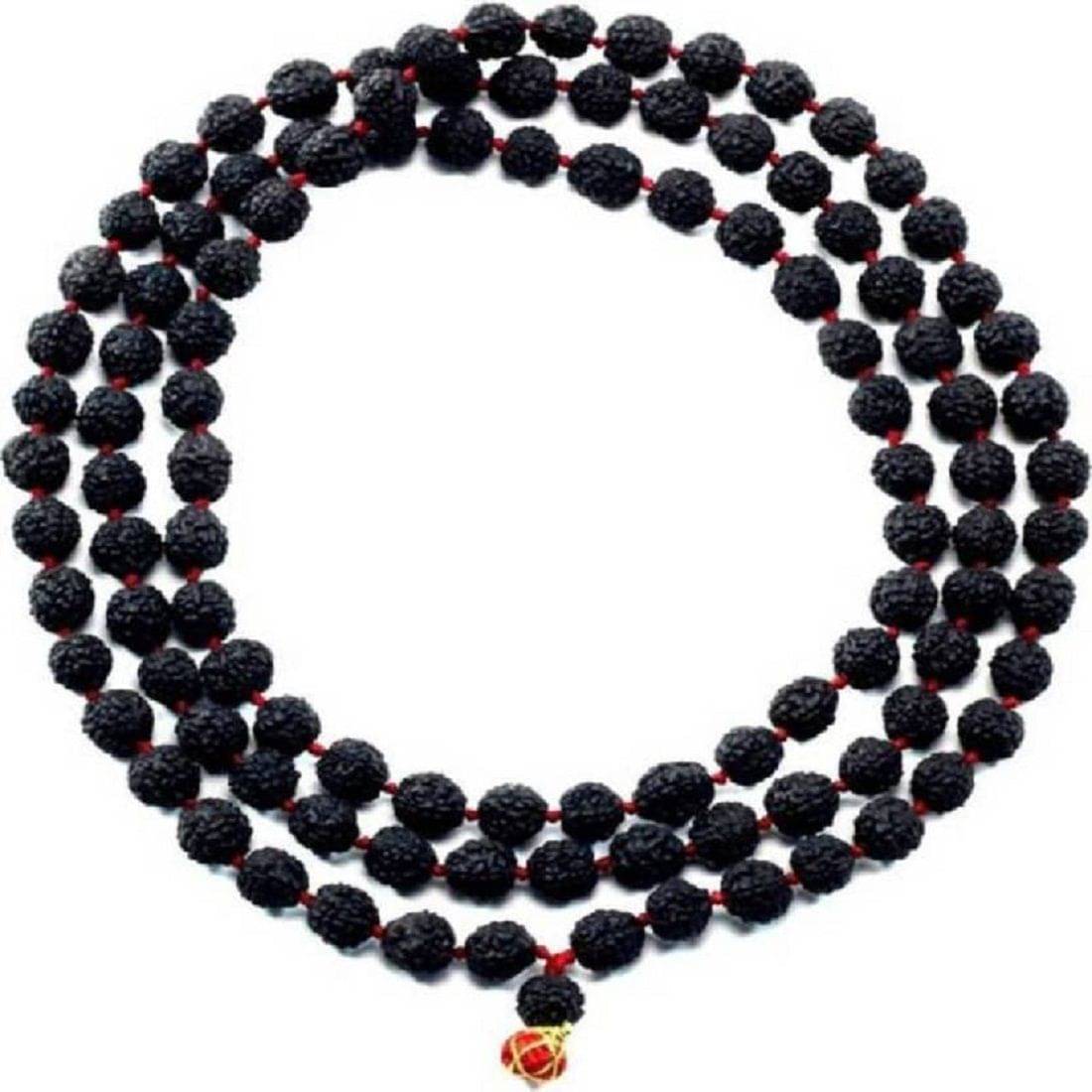     			Shivoham High Quality Rudraksha Mala 108 + 1 5 Face Rudraksha