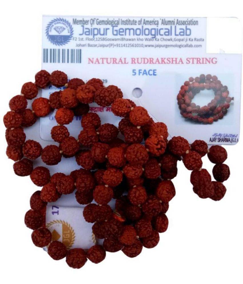 Sigma Natural 5 Face Rudraksha Mala Sigma Natural 5 Face Rudraksha Mala