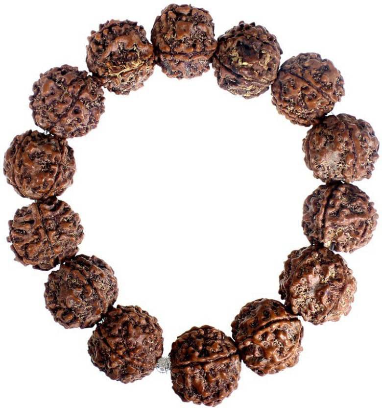     			5 Mukhi Rudraksha Bracelet