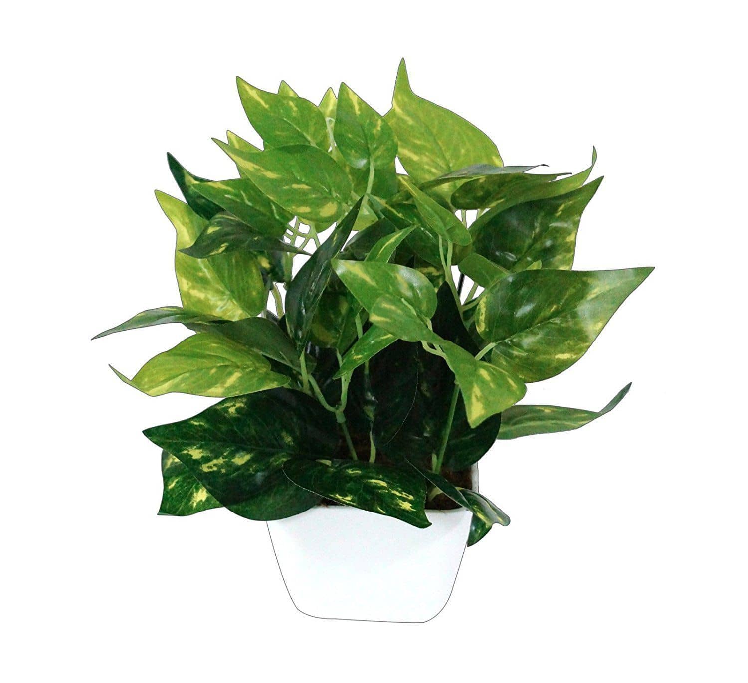 YUTIRITI Miniature Money Plant Green Artificial Tree Plastic - Pack of 1
