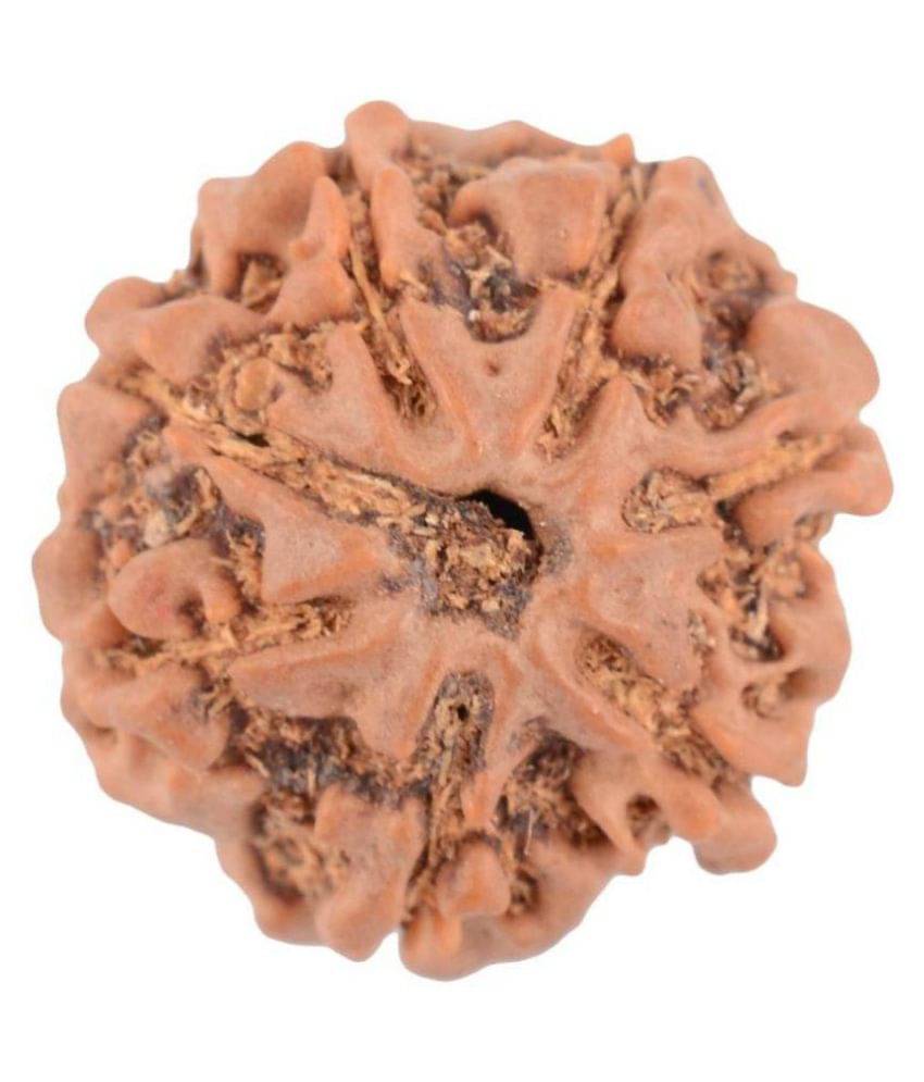 Shivoham 4 Mukhi Rudraksha (Lab Certified) Silk Dori Locket 4 Face Rudraksha Shivoham 4 Mukhi Rudraksha (Lab Certified) Silk Dori Locket 4 Face Rudraksha