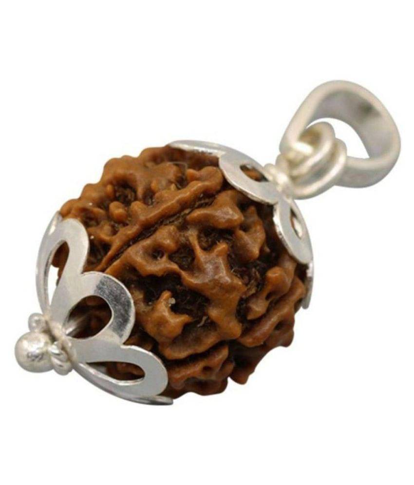 Shivoham 5 Mukhi Rudraksha with Silver Cap (Lab Certified) 5 Face Rudraksha Shivoham 5 Mukhi Rudraksha with Silver Cap (Lab Certified) 5 Face Rudraksha