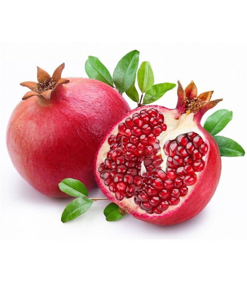 Organic Turkey Giant Pomegranate Seeds Punica Granatum Shrub Fruit Tree 20 seeds
