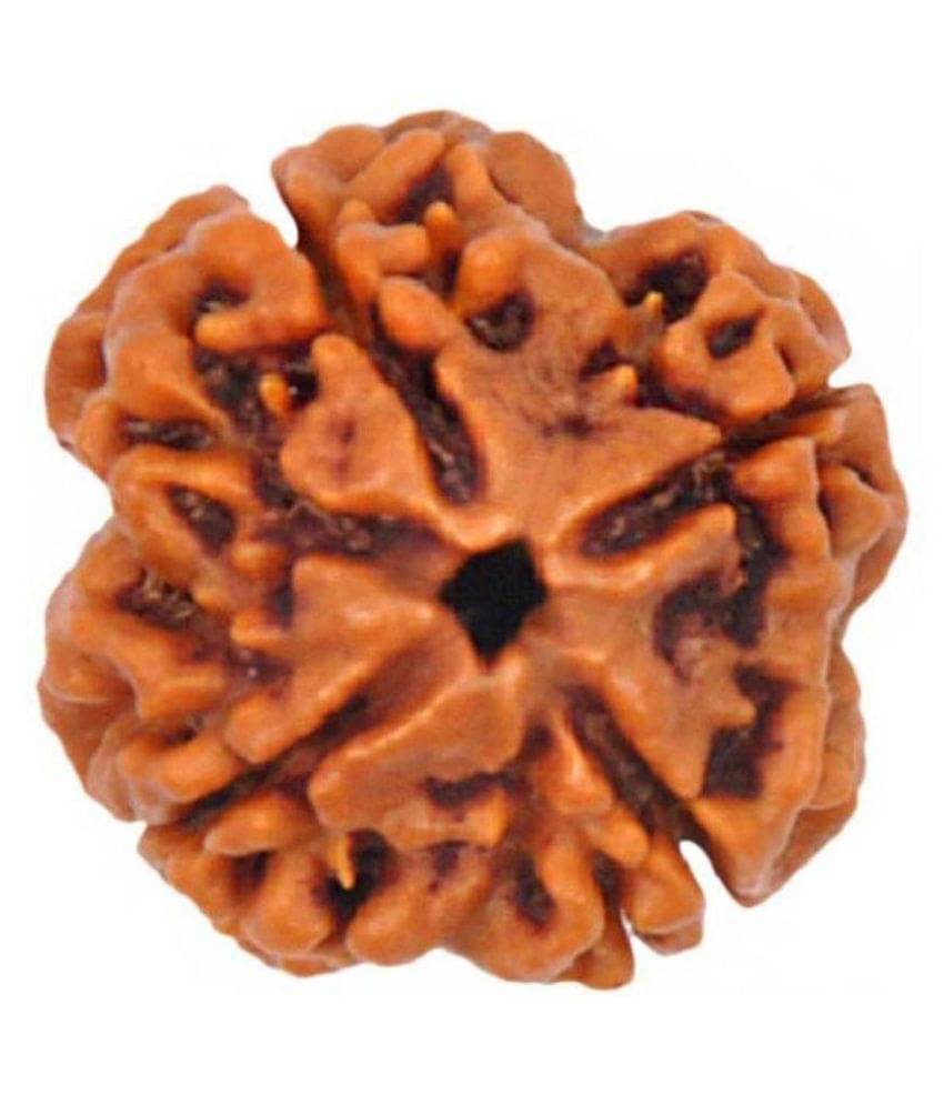     			Shivoham 4 Face Rudraksha Wooden Yentra 4 Face Rudraksha