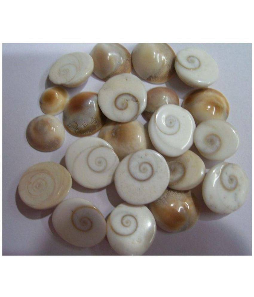     			Gomati Chakra21 Pieces