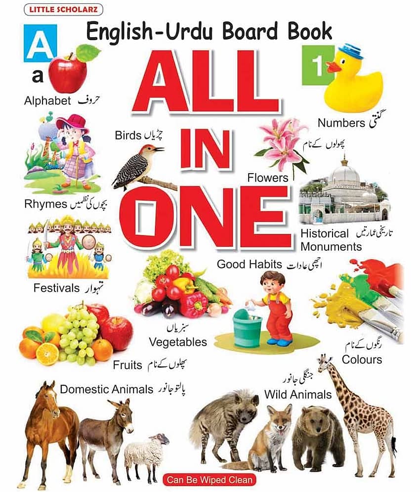 ALL IN ONE: English - Urdu Board Book - Stationery | Buy online on ZillyBuy