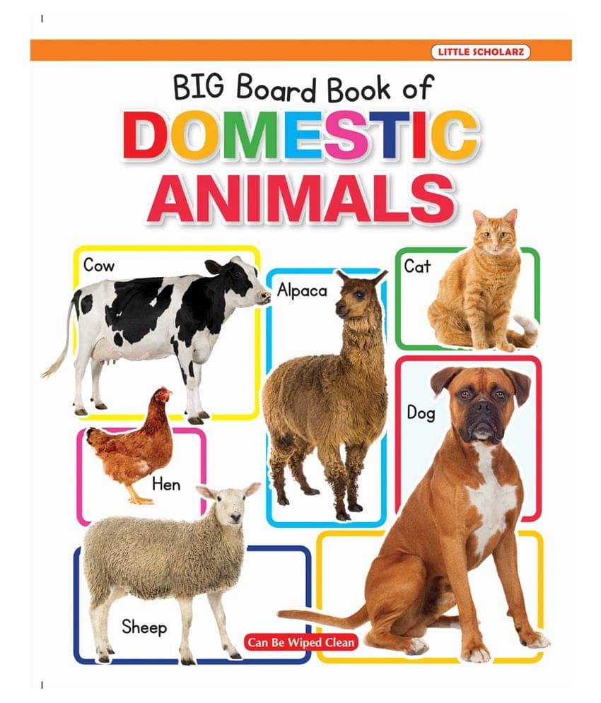 New Big Board Book Of Domestic Animals New Big Board Book Of Domestic Animals