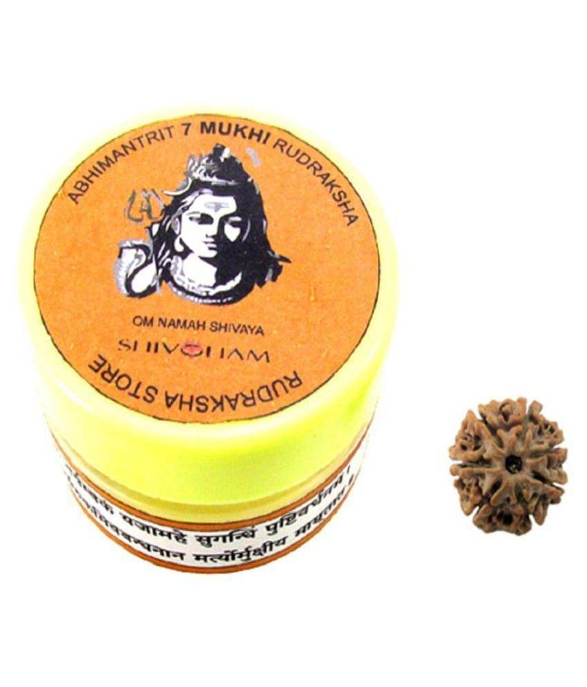     			Shivoham 7 Mukhi Rudraksha 7 Face Rudraksha