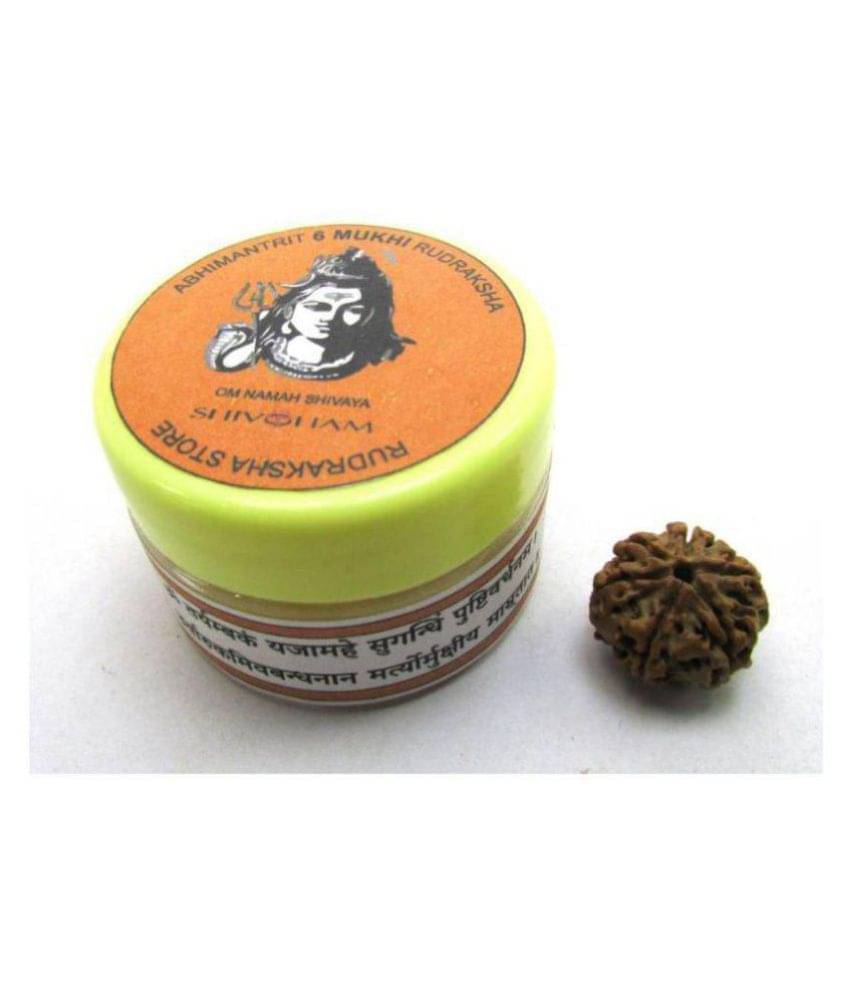     			Shivoham 6 Mukhi Rudraksha 6 Face Rudraksha
