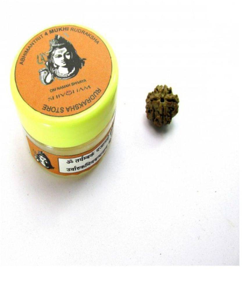     			Shivoham 4 Mukhi Rudraksha 4 Face Rudraksha