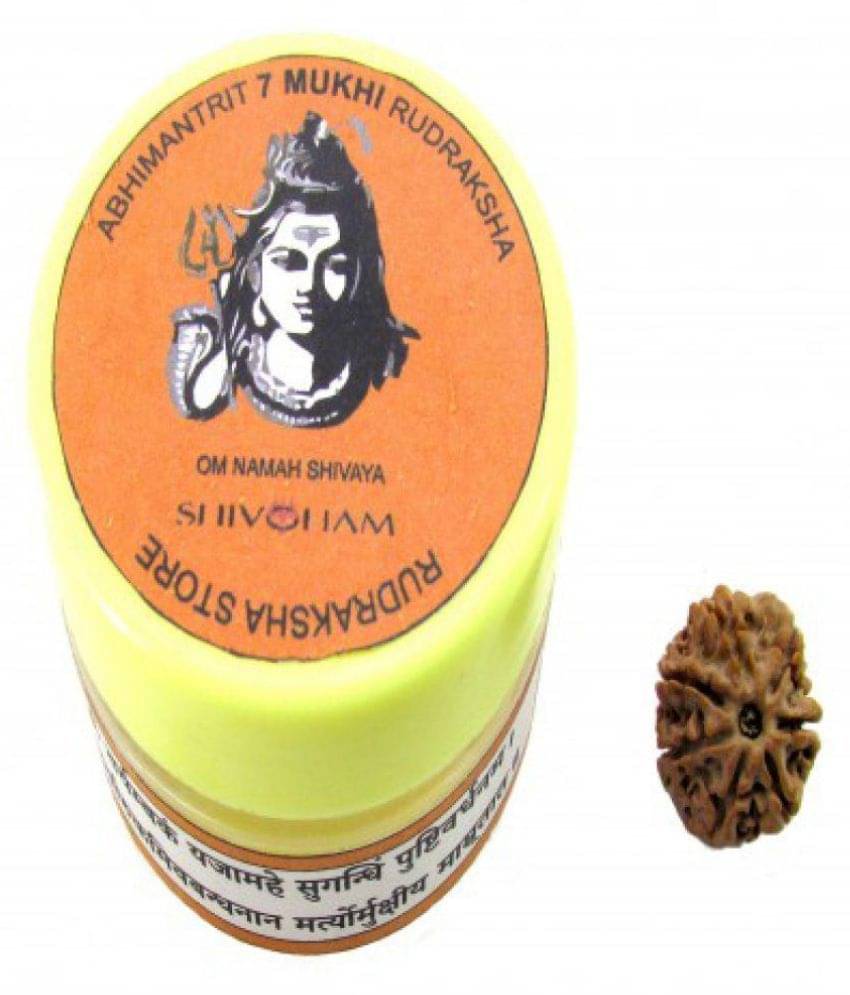     			Shivoham 7 Mukhi Rudraksha 7 Face Rudraksha