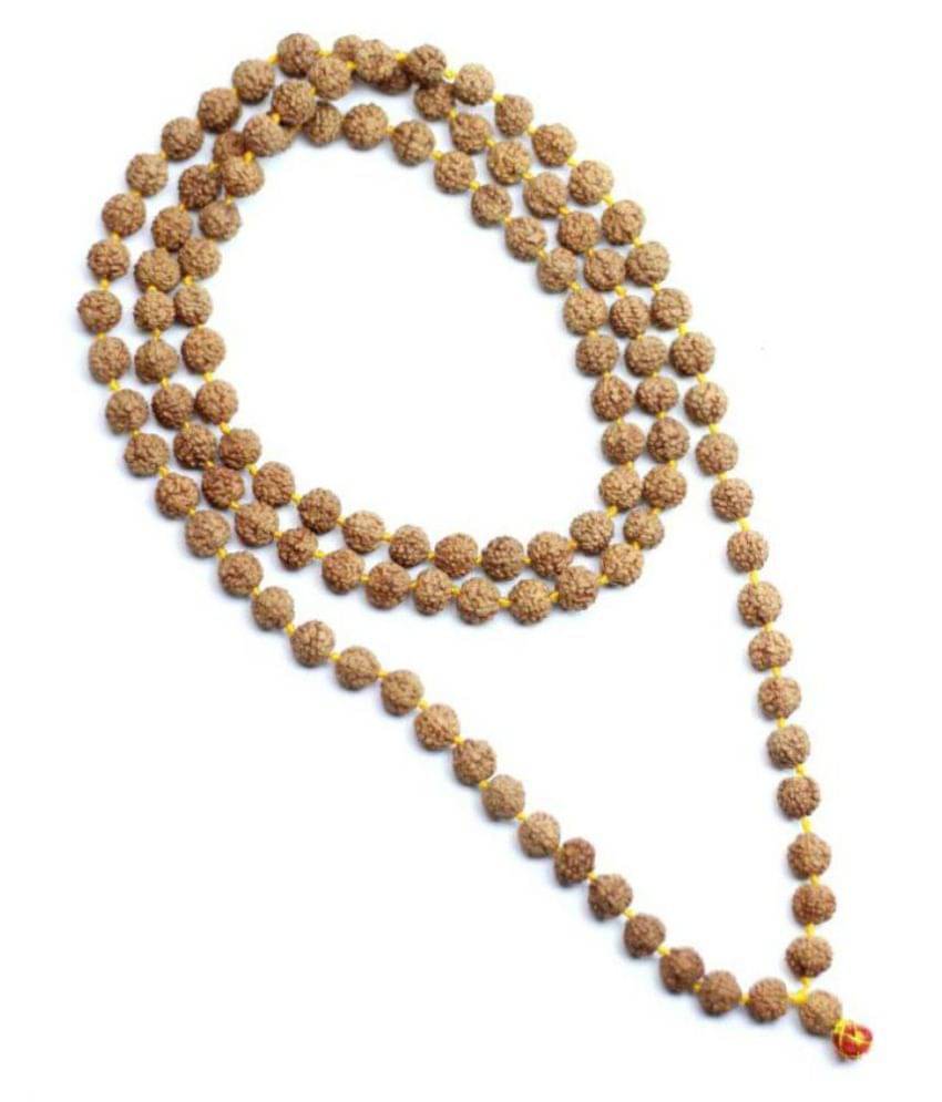     			Shivoham 5 Mukhi Rudraksha 5 Face Rudraksha