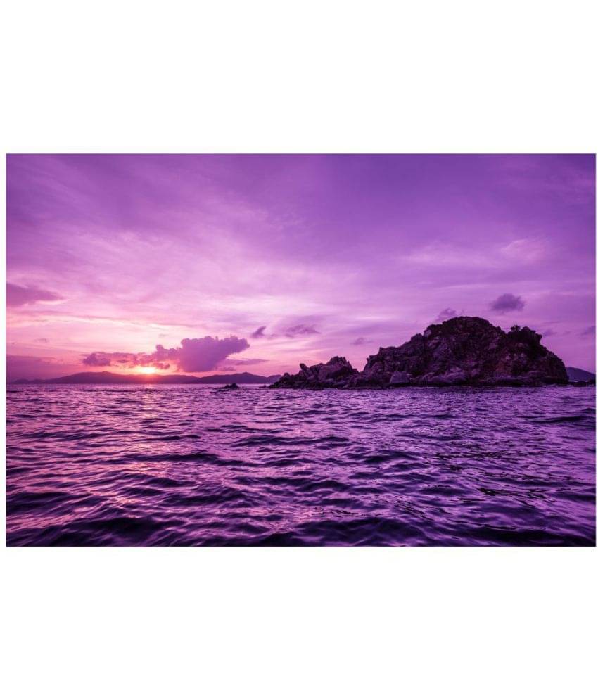     			Sticker Studio Vinyl Wall Poster Without Frame