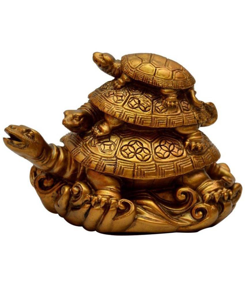     			Sagar Collection Tortoise