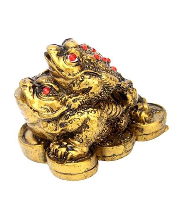     			S.S Creation Feng Shui Double Money Frog