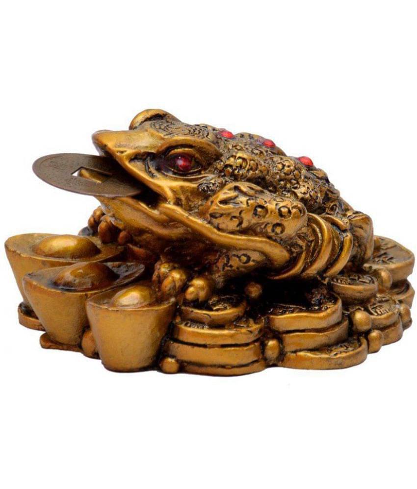     			S.S Creation Fengshui Frog