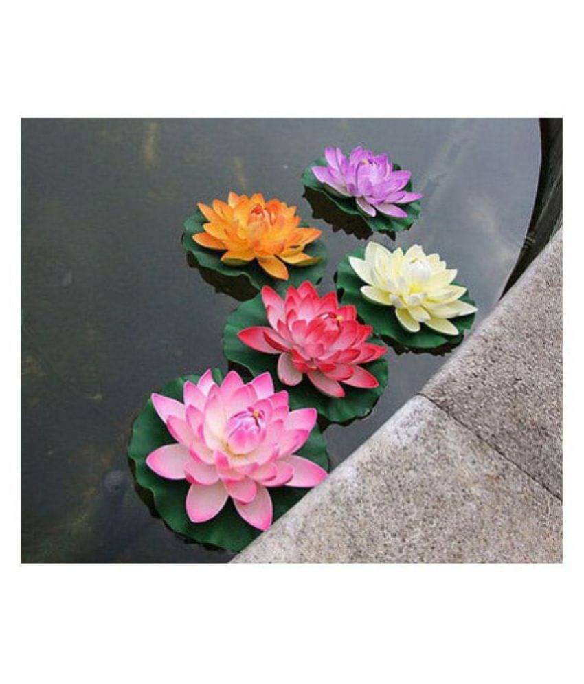     			Alkarty 25 Mixed colorful lotus seeds