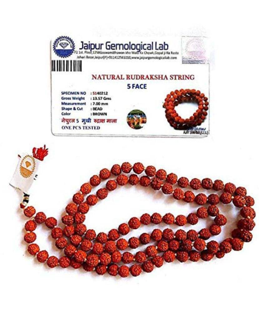     			Rudraksha Mala Pack of 1 - 108 Beads