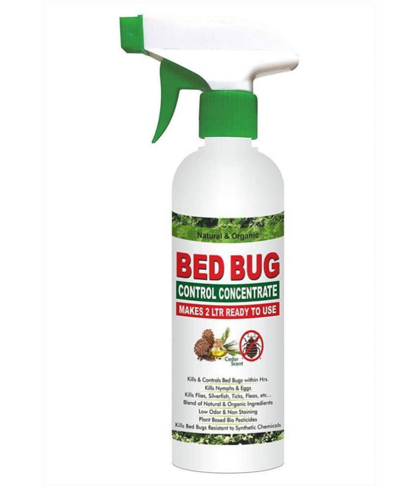 Green Dragon's Natural & Organic Bed Bug Control Concentrate Makes 2  LTR Ready to Use - Sports and Fitness Equipment | Buy online on ZillyBuy