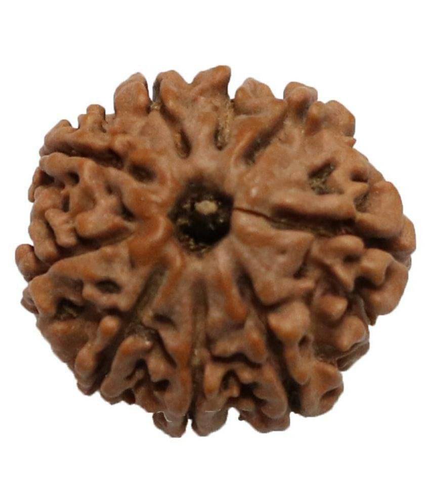     			Lucknow Pujan Store Rudraksha Bead Pack of 1 - 1 Beads