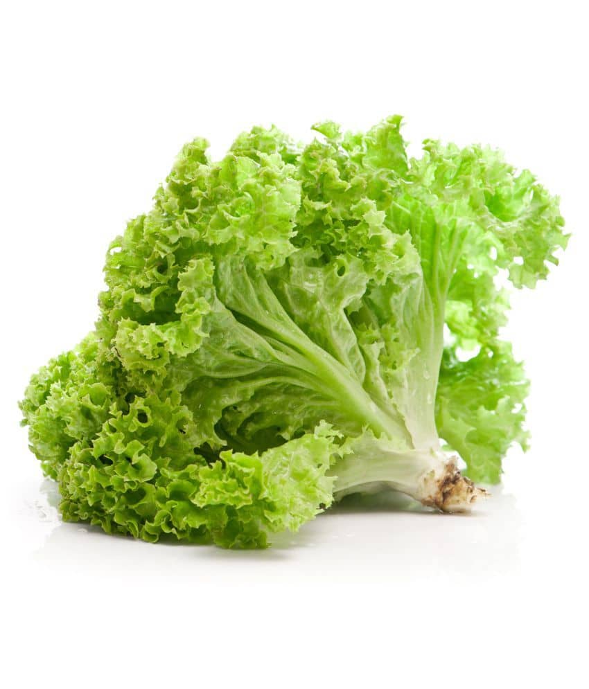 Vegetable Seeds Lettuce Seeds For Gardening Seeds - Lettuce Green ​Seeds Seeds Organic Home Garden Seeds